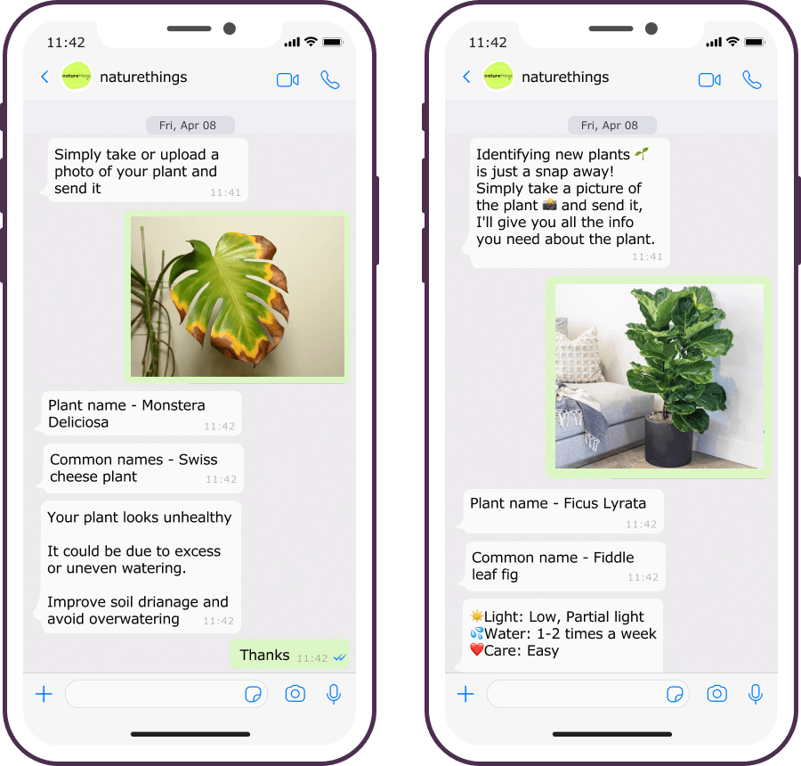 Worried about how to care for your plants? Subscribe to our WhatsApp service to get timely care reminders and plant diagnosis on your phone.